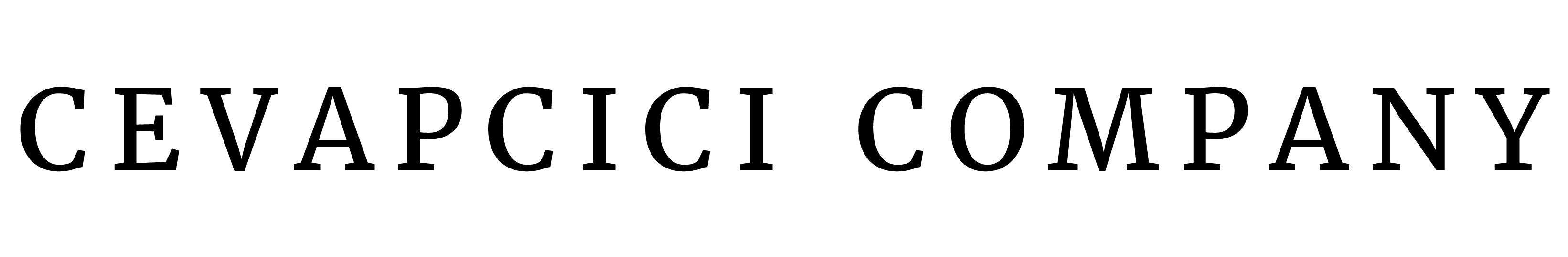 CEVAPCICI COMPANY GmbH